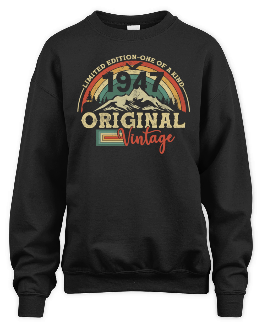 Vintage Retro 1947 Birthday Gift Unisex Premium Crewneck Sweatshirt