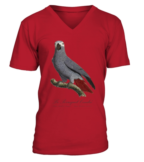 Le Perroquet Cendre - 19th century illustration V-Neck T-shirt
