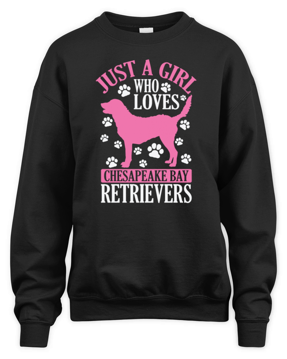 Just a Girl Who Loves Chesapeake Bay Retrievers Unisex Premium Crewneck Sweatshirt