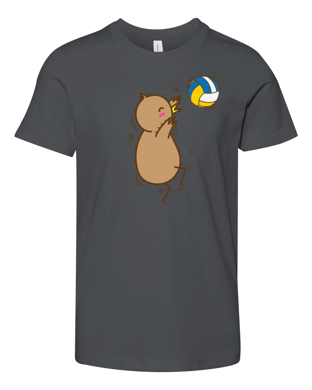 Volleyball Kiwi Bird and Fruit Youth Unisex Jersey Tee