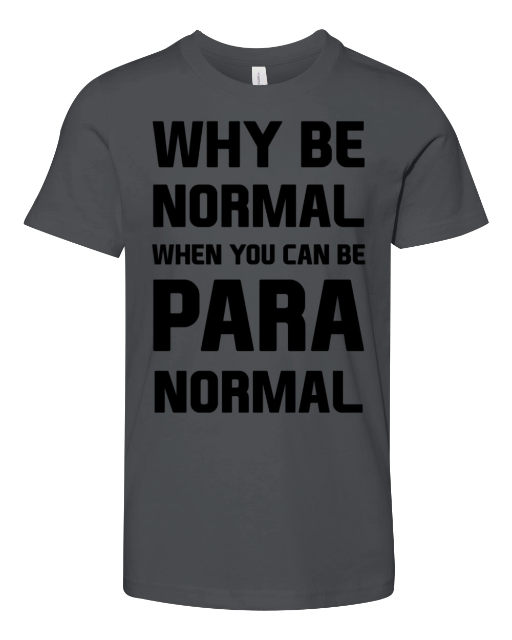 Why be normal when you can be para normal Youth Unisex Jersey Tee