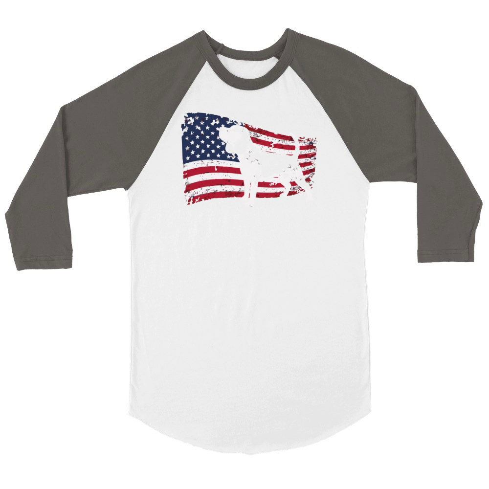 Beagle Gift Idea Unisex ¾ sleeve Raglan T-shirt