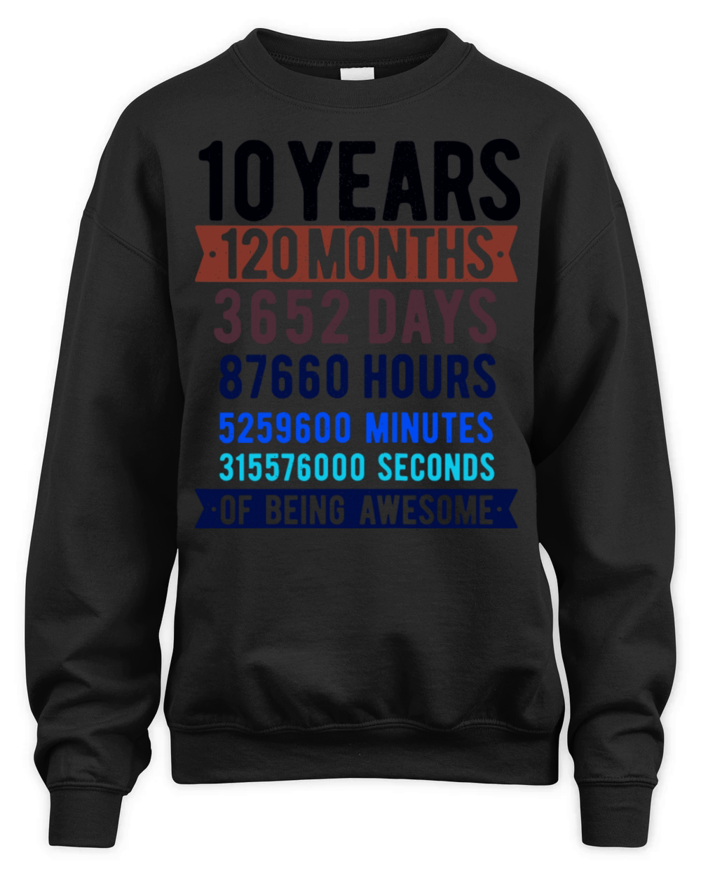 Youth 10th Birthday 10 Years Old Vintage Retro 120 Unisex Premium Crewneck Sweatshirt