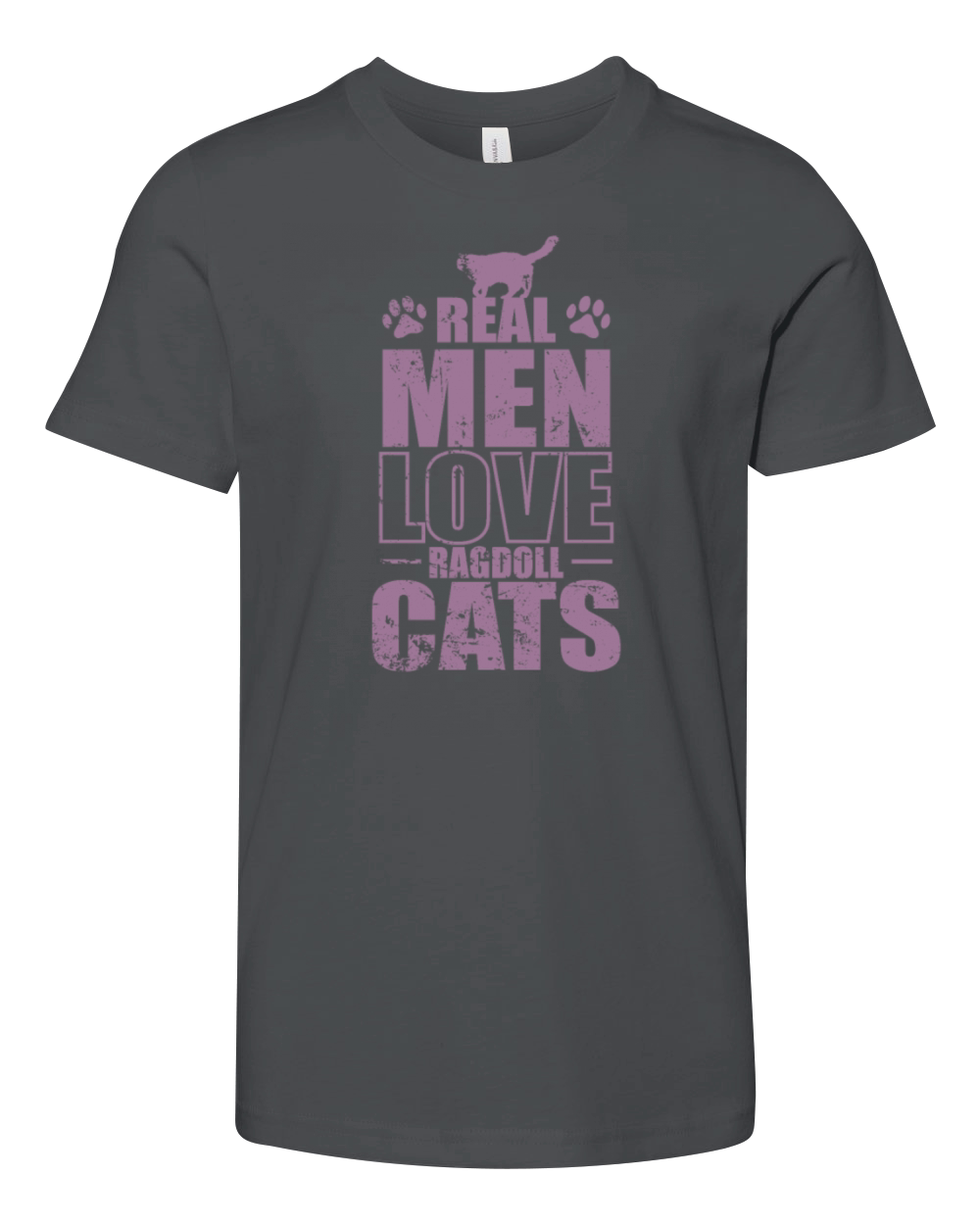 Real Men Love Ragdoll Cats Pet Cat Youth Unisex Jersey Tee