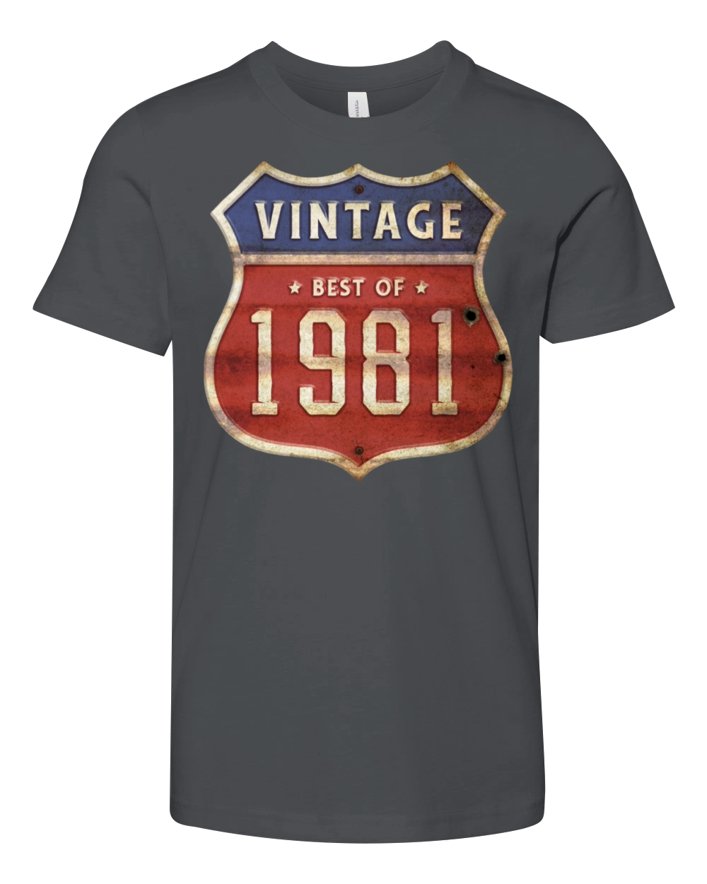 43 Years Old Vintage 1981 Limited Edition 43rd Youth Unisex Jersey Tee