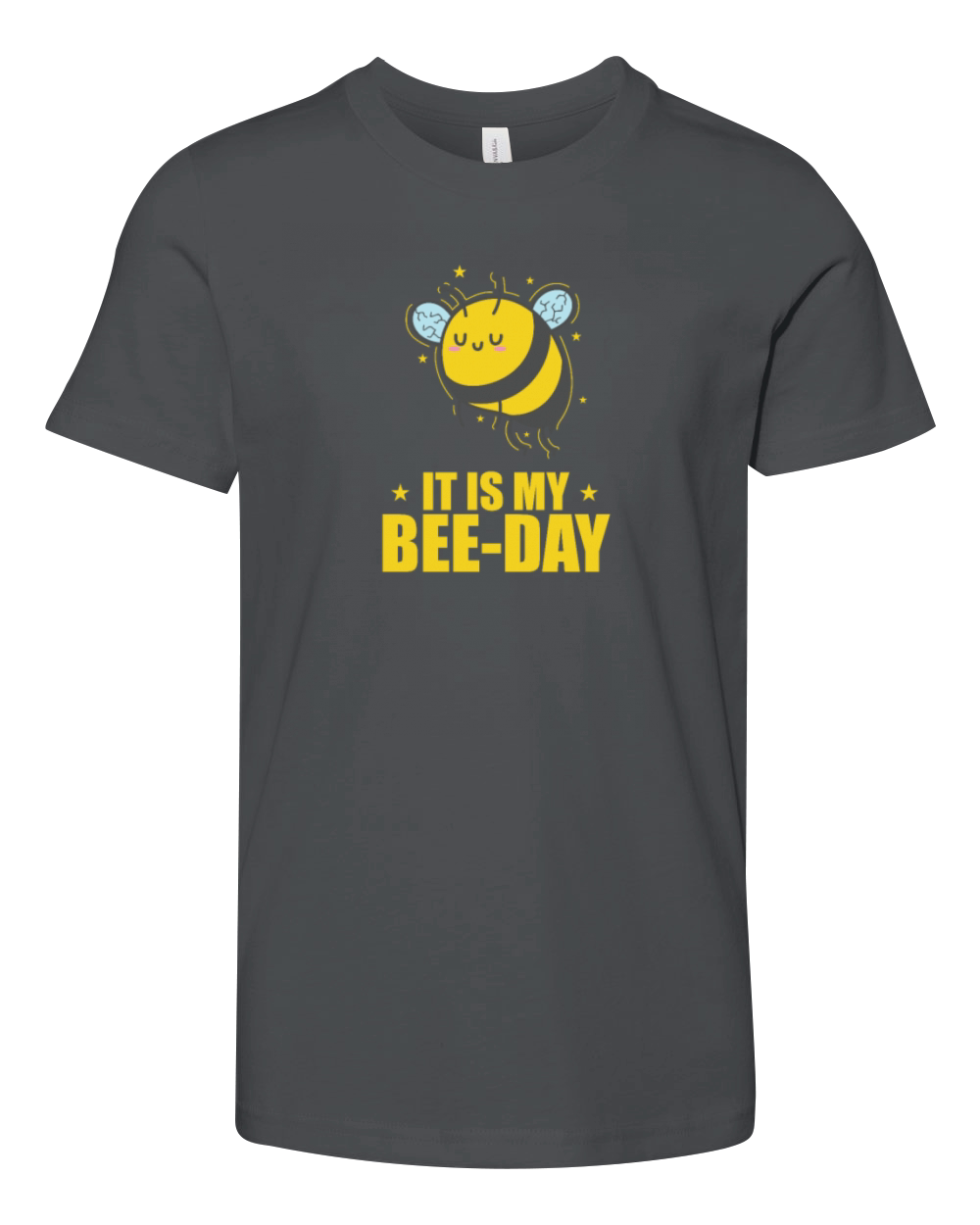 It is my Bee-Day Bees Animals Nature Youth Unisex Jersey Tee