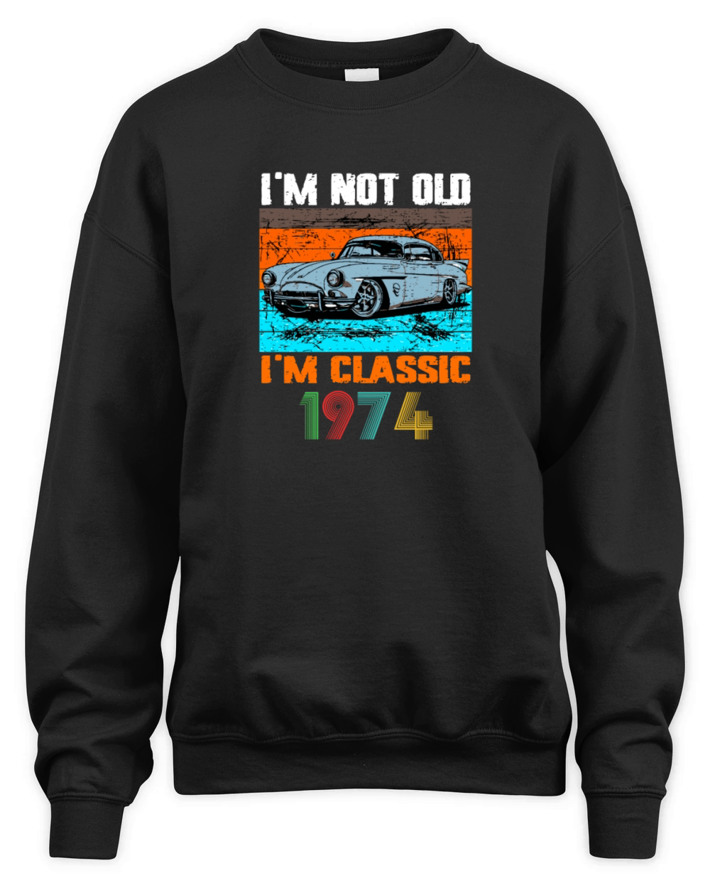 Im Not Old Im Classic 1973 Birthday Unisex Premium Crewneck Sweatshirt