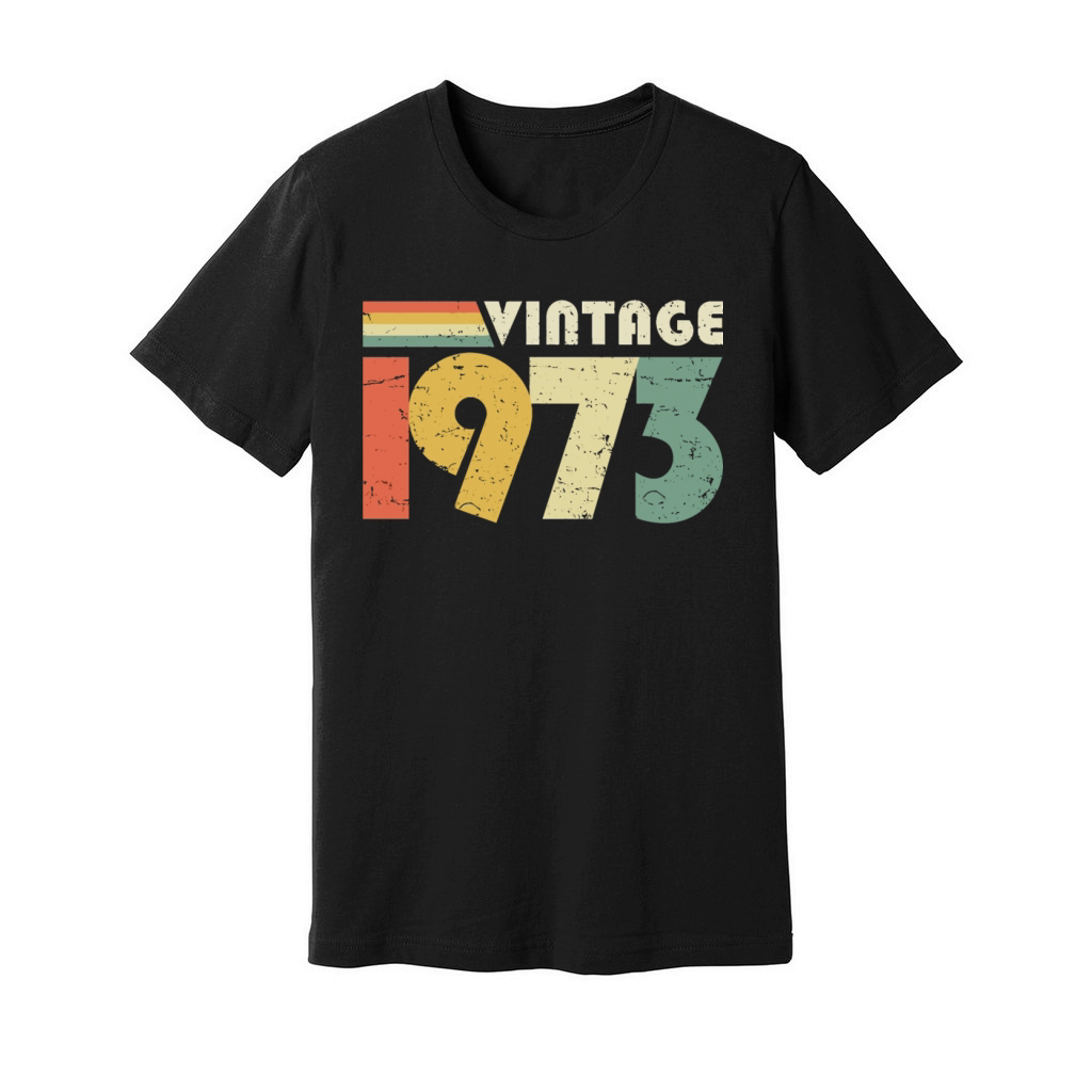Vintage 1973 50th Birthday Gift Distressed Unisex Jersey Tee