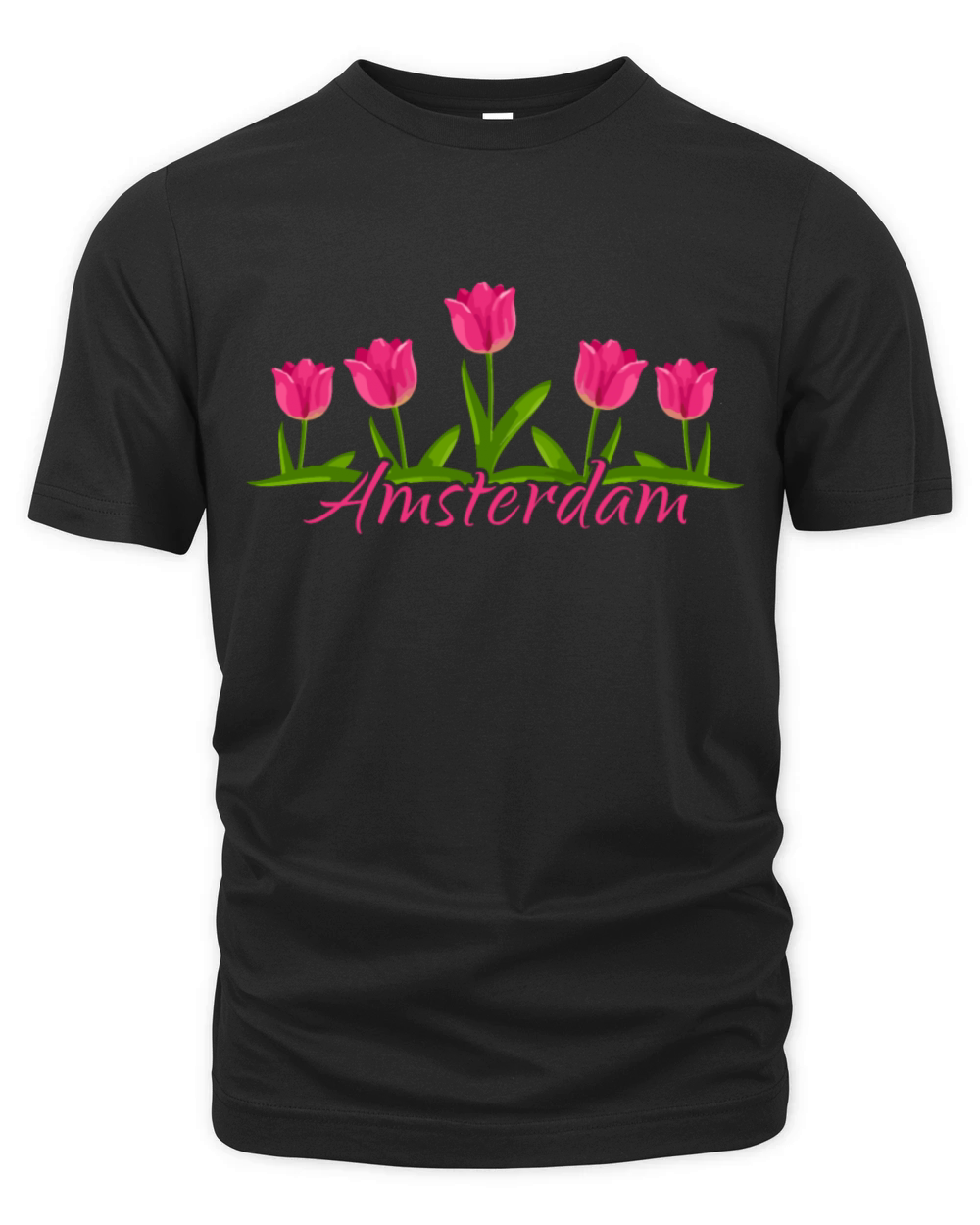 Amsterdam Netherlands Dutch Souvenir Organic Unisex T-shirt