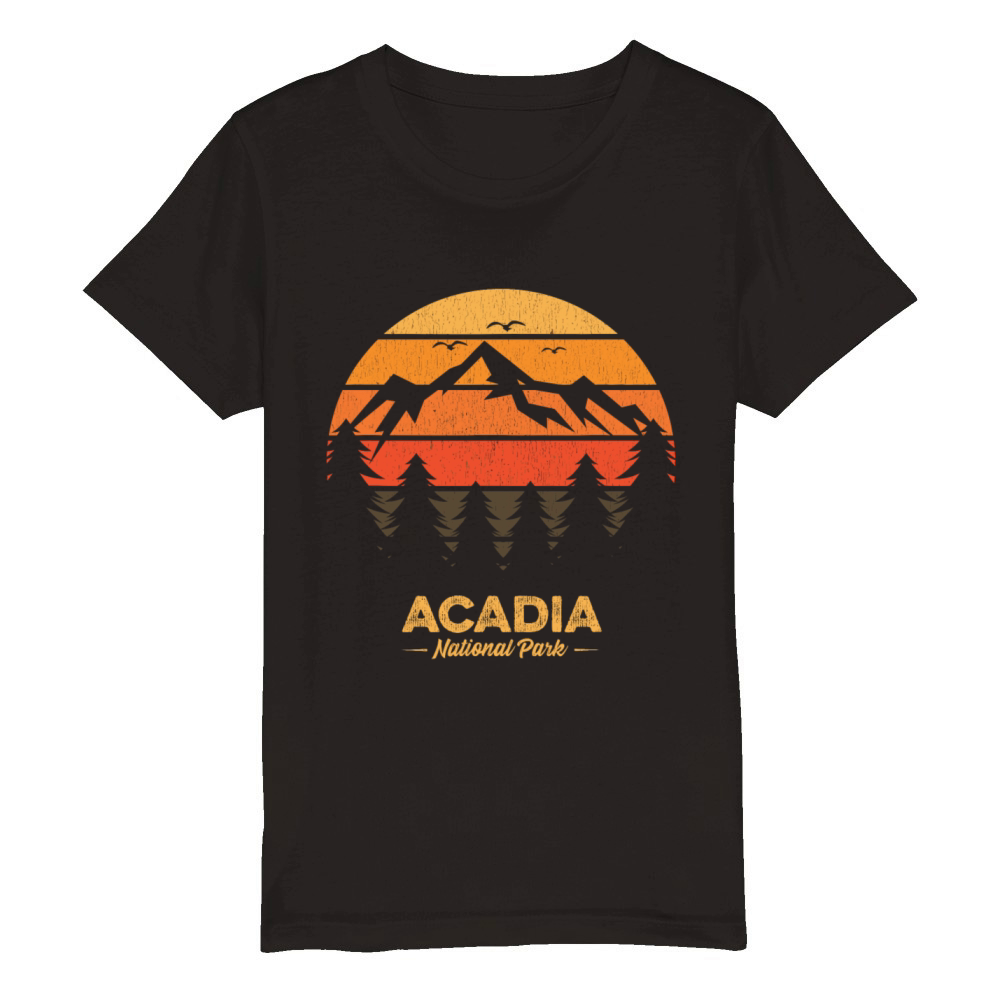 Acadia National Park Retro Vintage Souvenir Gift Organic Kids Crewneck T-shirt