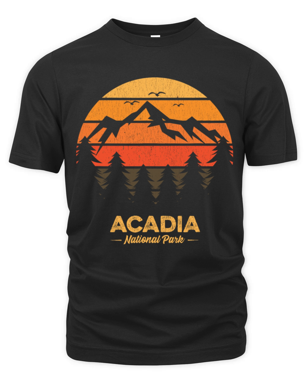Acadia National Park Retro Vintage Souvenir Gift Organic Unisex T-shirt