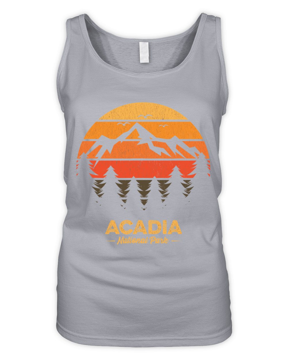 Acadia National Park Retro Vintage Souvenir Gift Organic Women's Tank Top