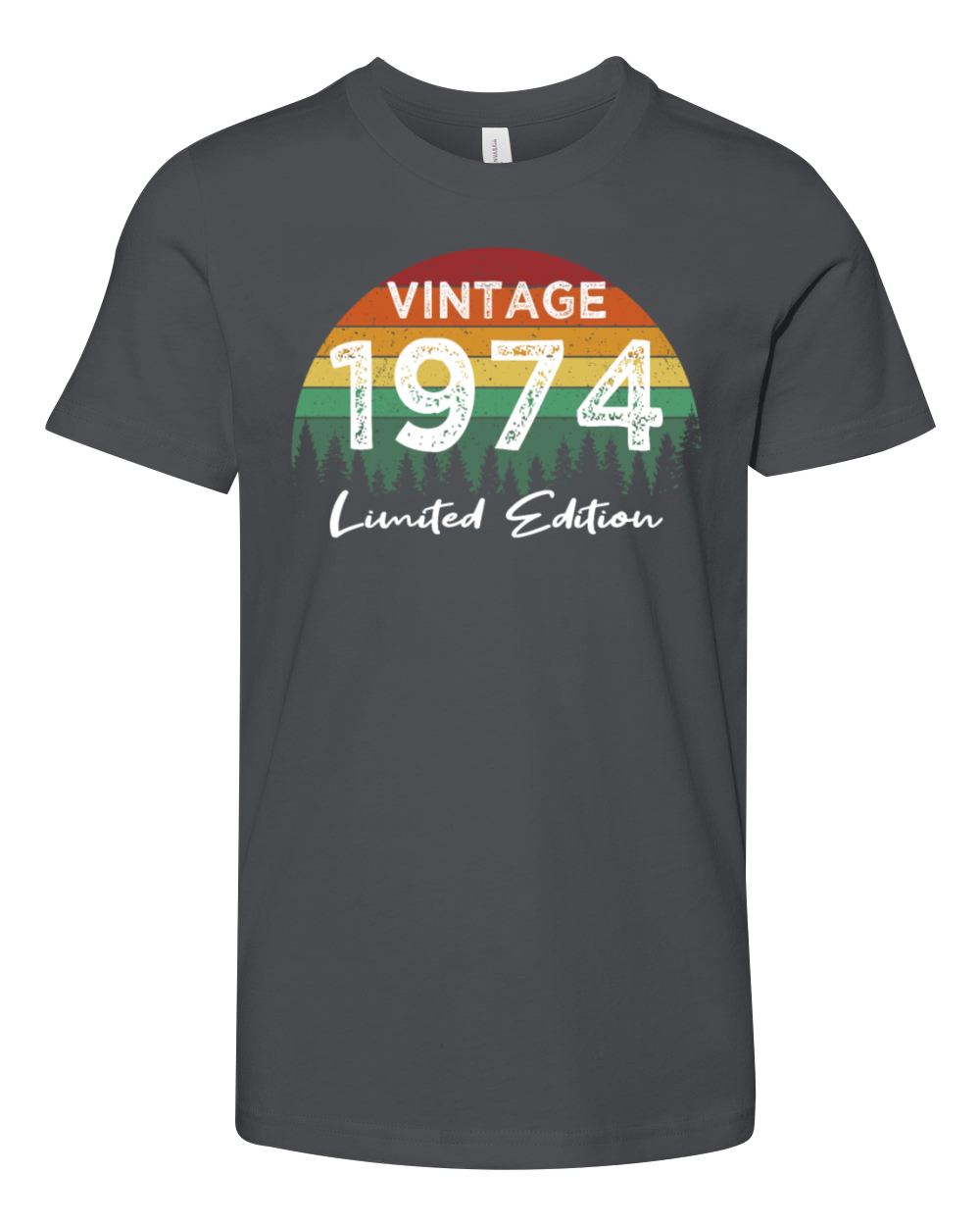 50th birthday vintage 1974 born in 1974 Youth Unisex Jersey Tee