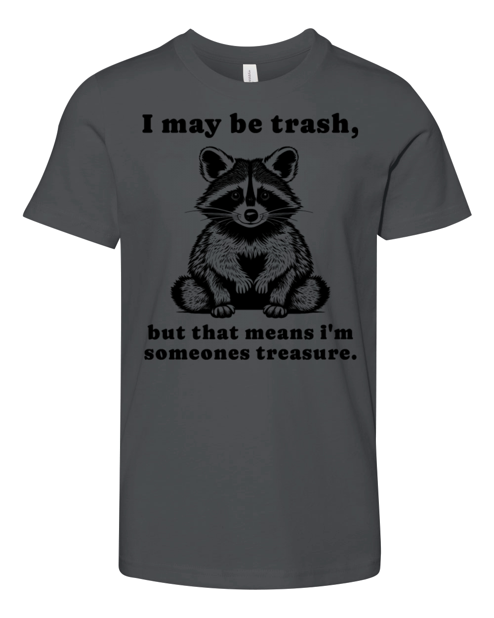 I May Be Trash - Cute Raccoon - Raccoon Quote Youth Unisex Jersey Tee
