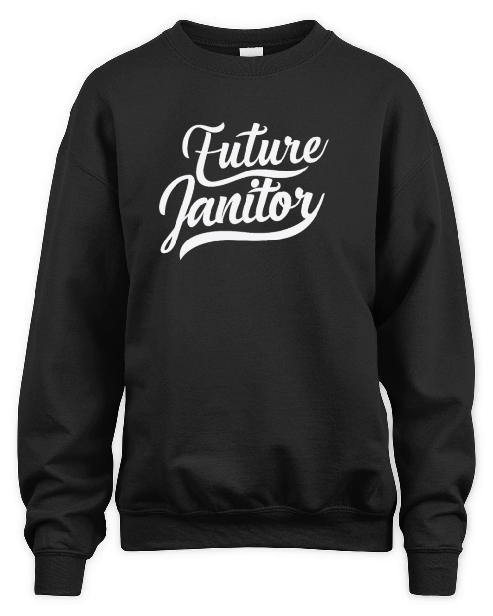 Future Janitor Profession Work Unisex Premium Crewneck Sweatshirt