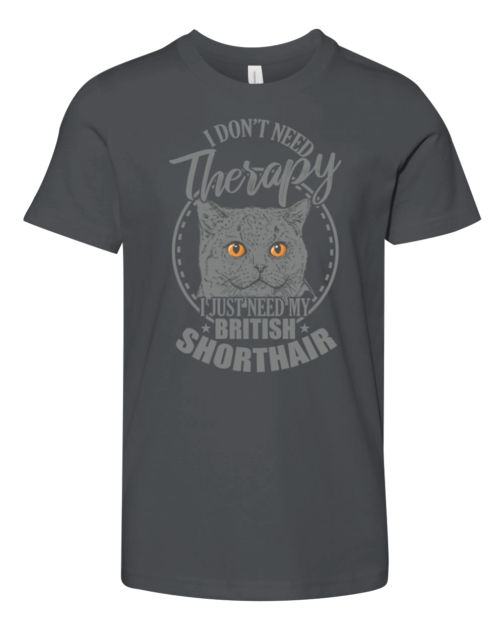 Dont need Therapy need my British Shorthair Youth Unisex Jersey Tee