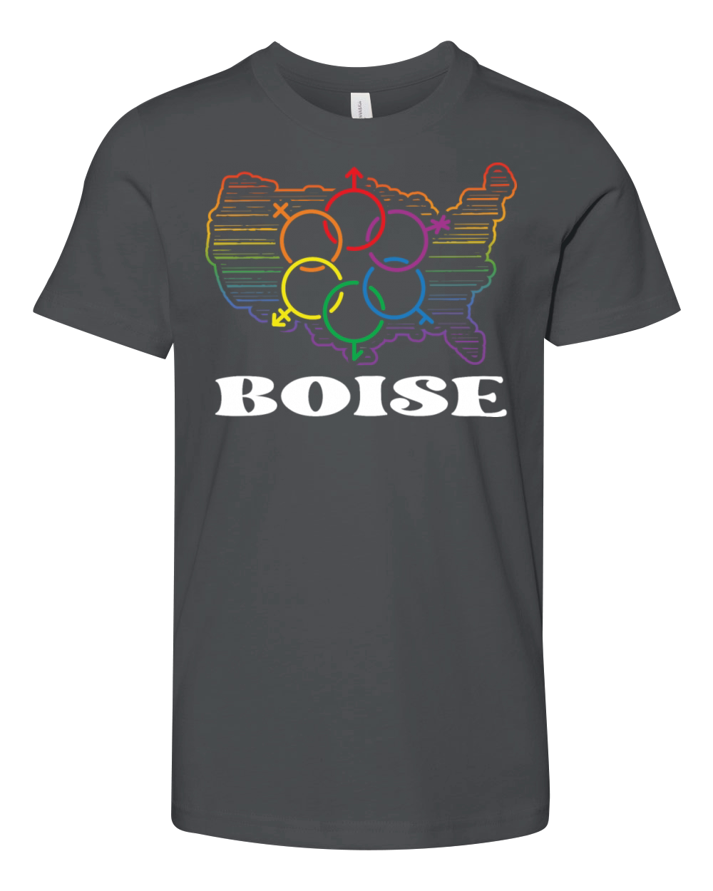 Boise Pride Month Pride Flag LGBT Community LGBTQ Youth Unisex Jersey Tee