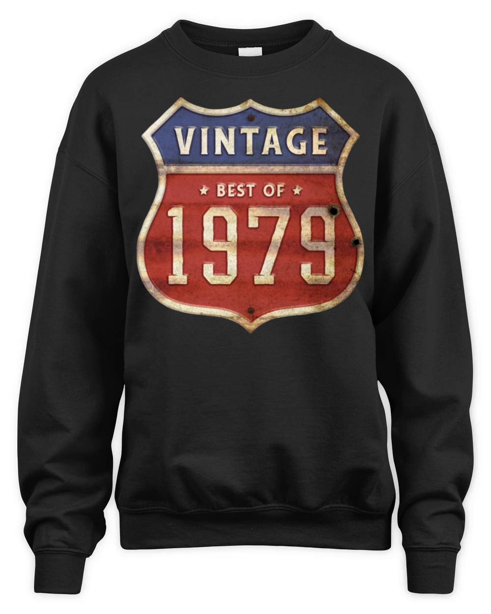 45 Years Old Vintage 1979 Limited Edition 45th Unisex Premium Crewneck Sweatshirt