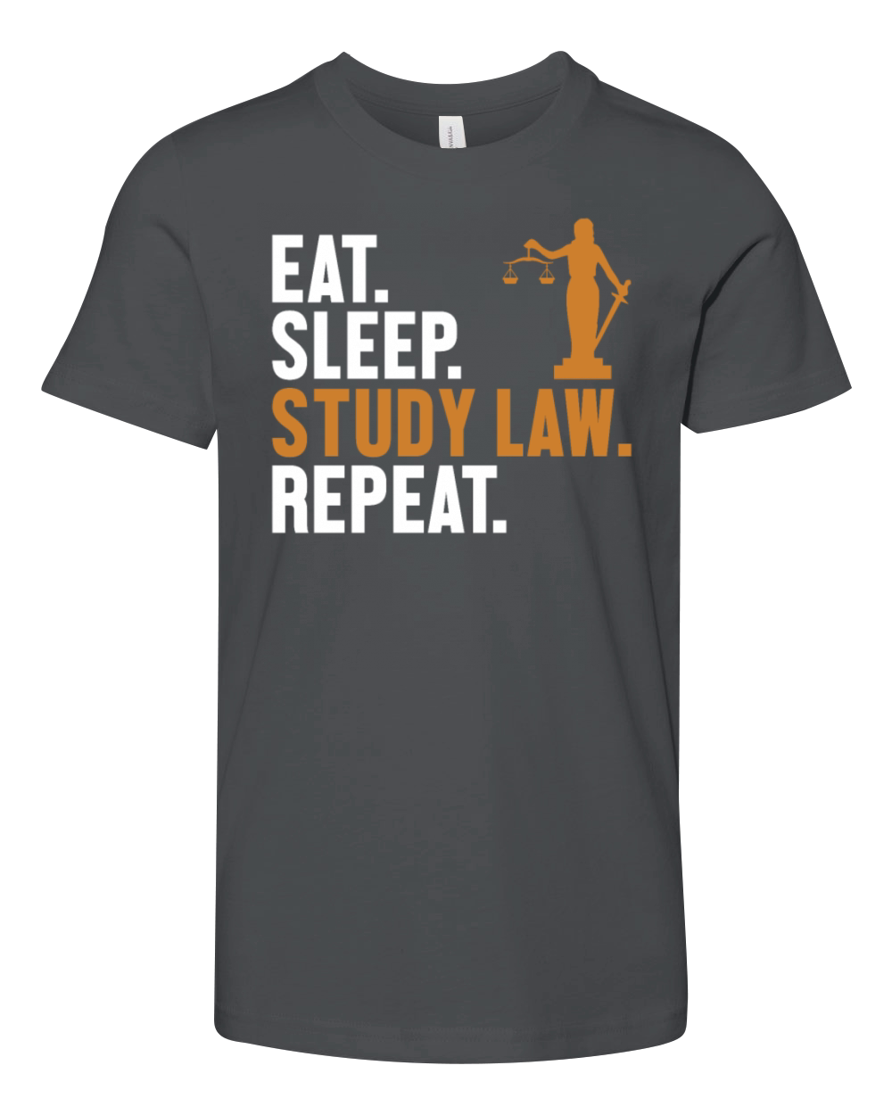 Eat Sleep Study Law Repeat Law School University Youth Unisex Jersey Tee