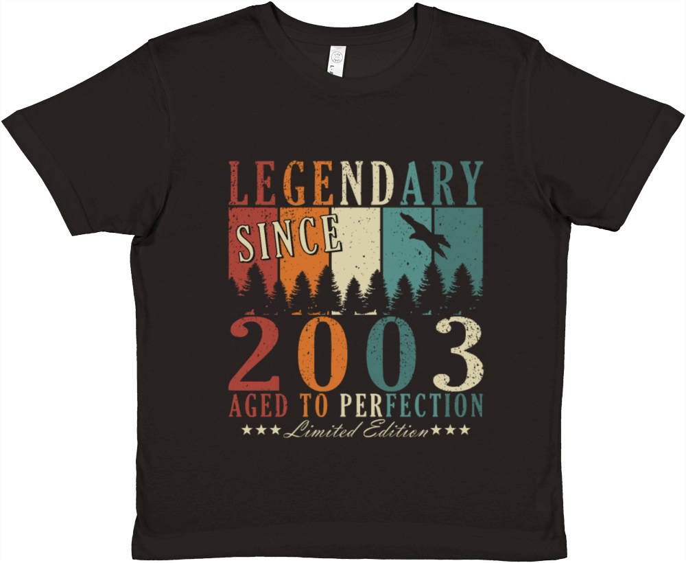 20th birthday man vintage 2003 legend Premium Kids Crewneck T-shirt