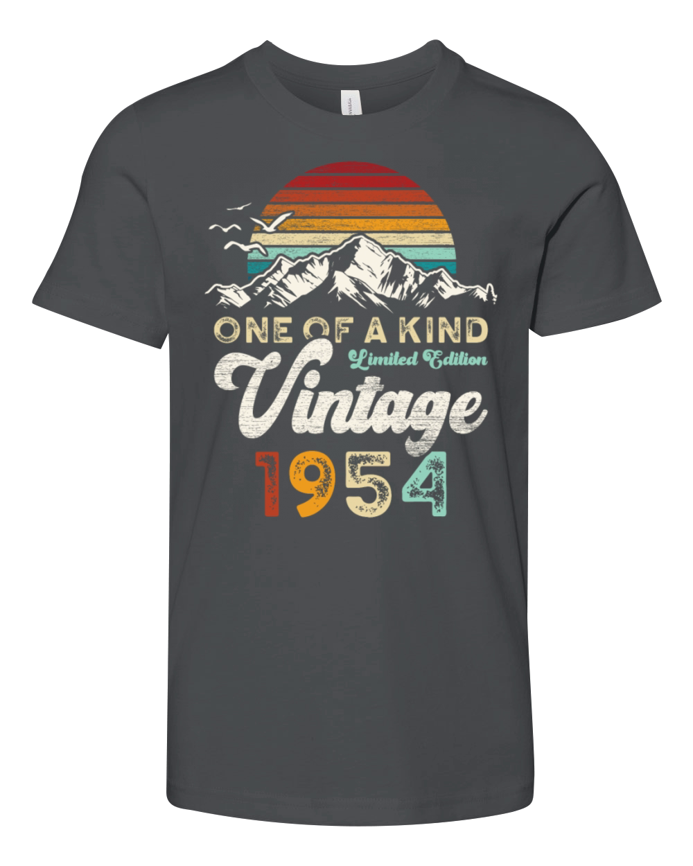 Vintage 1954 Birthday Mountains Youth Unisex Jersey Tee