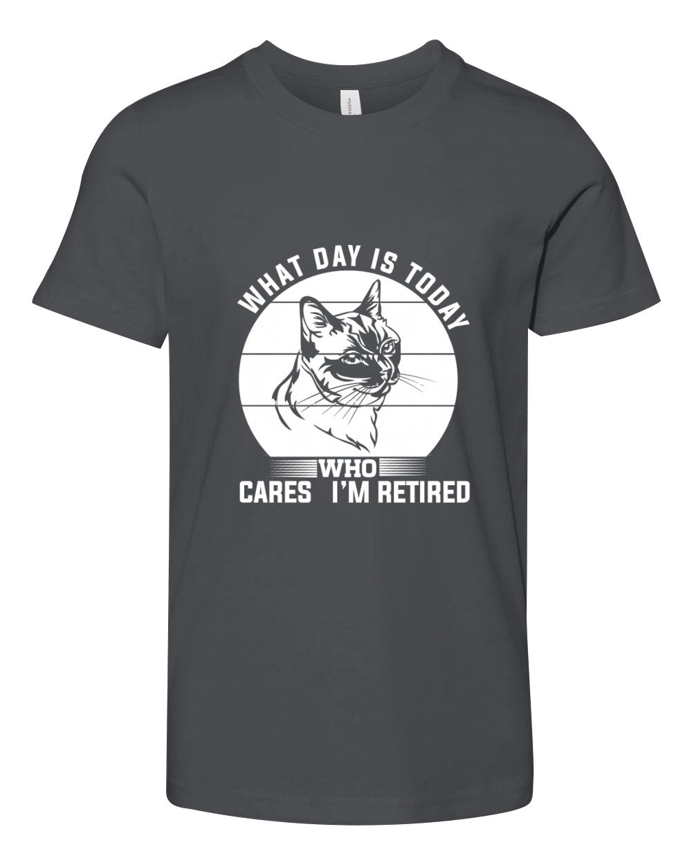 What day is today Who cares im retired 02 Youth Unisex Jersey Tee