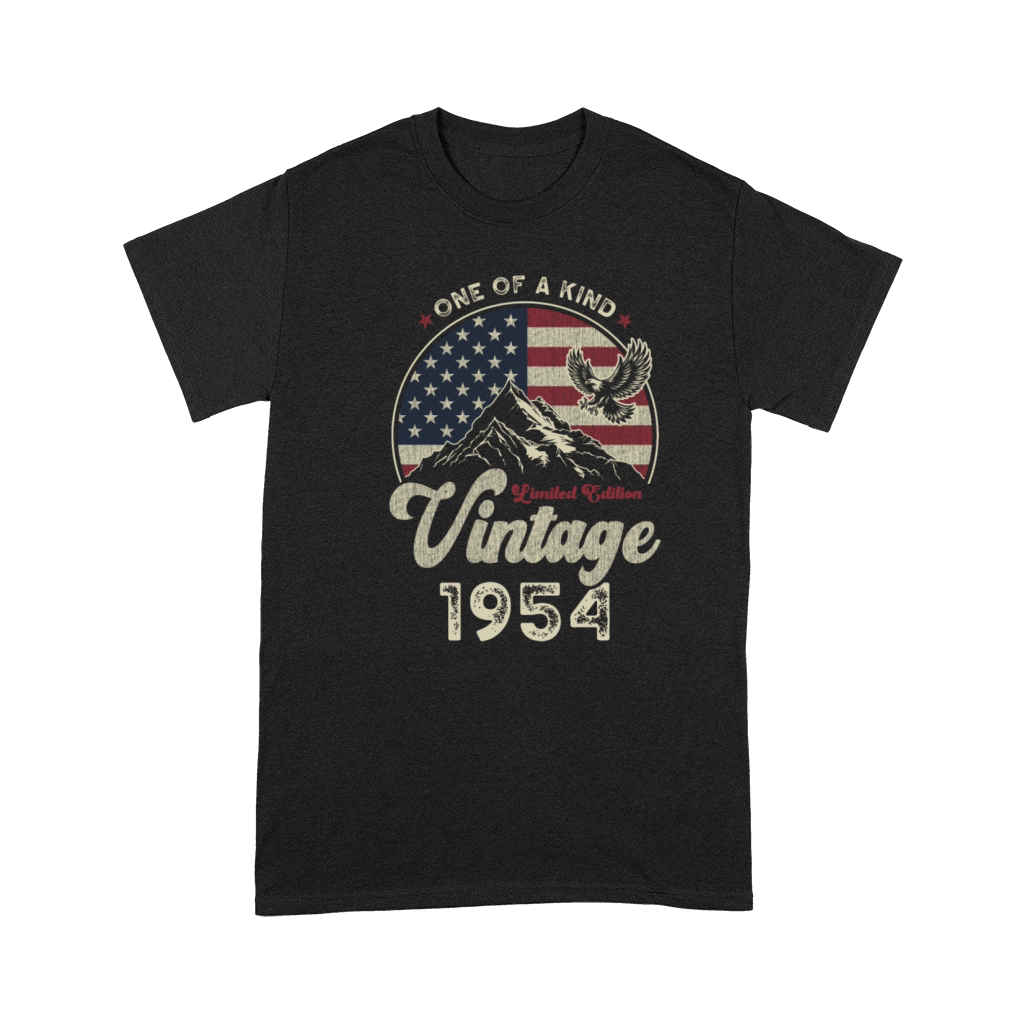 Vintage 1954 Birthday American Flag Premium T-shirt
