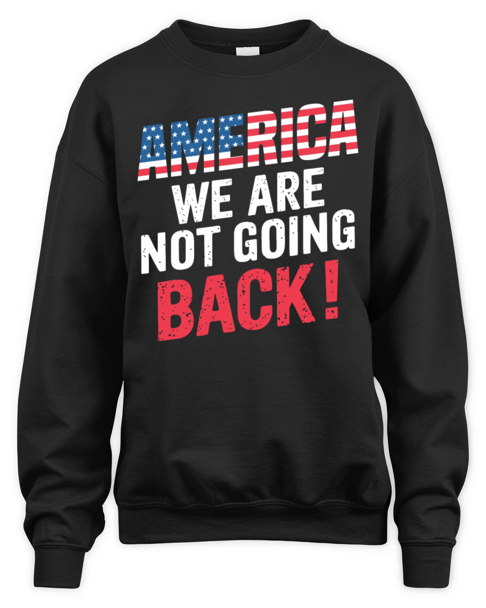AMERICA WE ARE NOT GOING BACK Unisex Premium Crewneck Sweatshirt