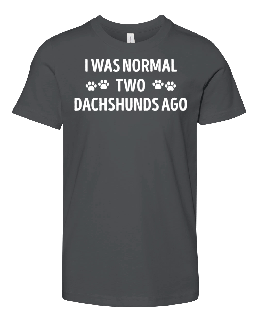 I Was Normal Two Dachshunds Ago Funny Youth Unisex Jersey Tee