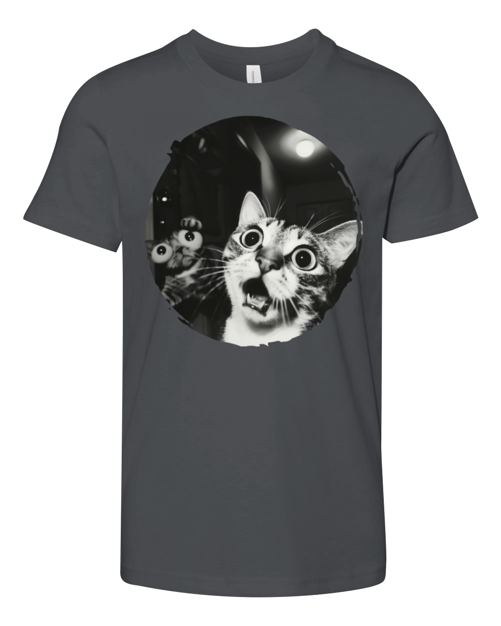 Double Surprised Cats in Vintage Black and White Youth Unisex Jersey Tee