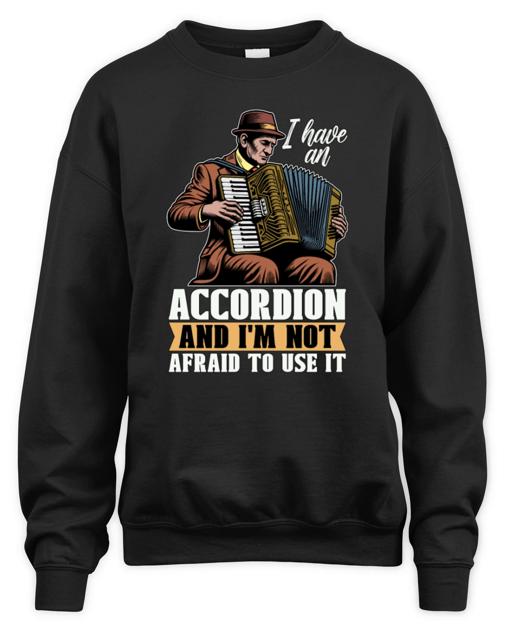 Accordion I Have An Accordion And Wind Instrument Unisex Premium Crewneck Sweatshirt