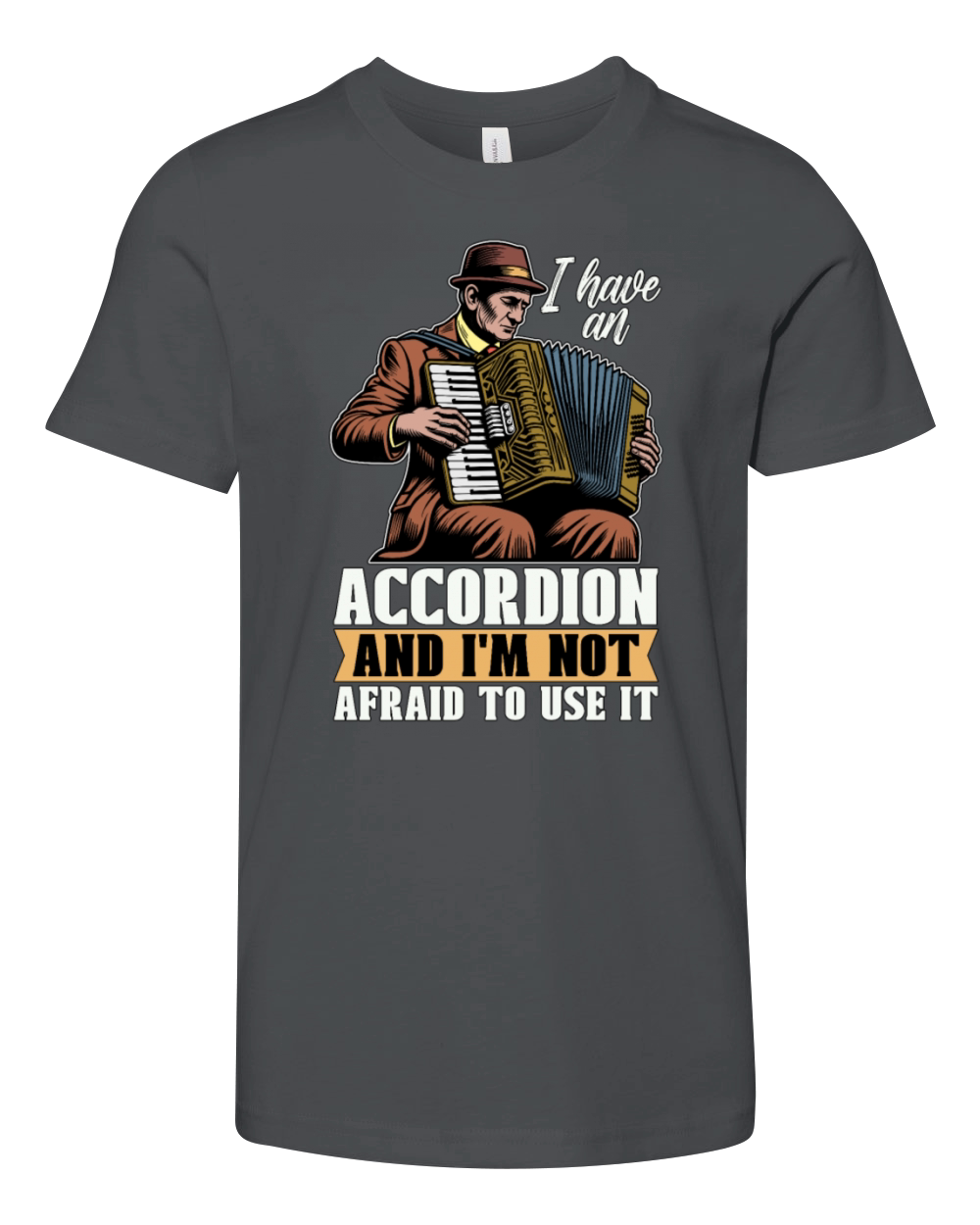 Accordion I Have An Accordion And Wind Instrument Youth Unisex Jersey Tee