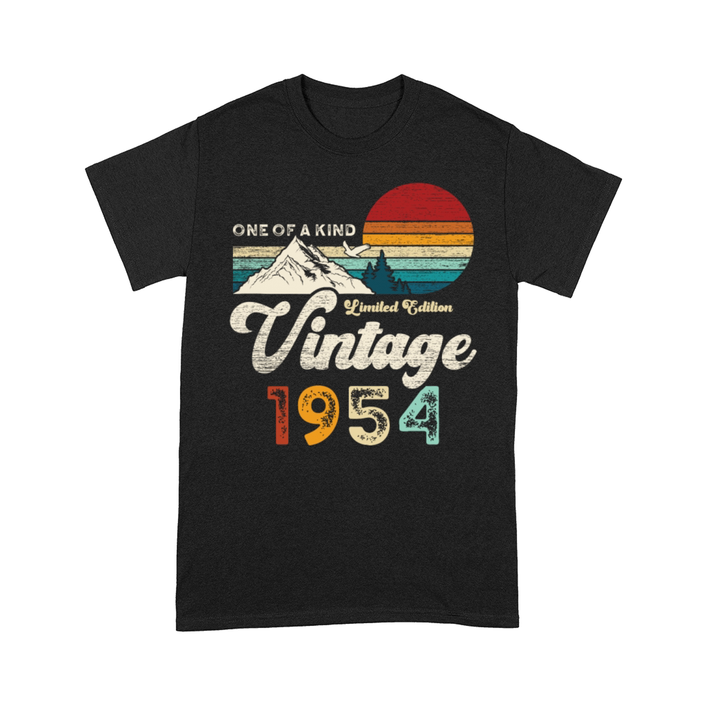 Vintage 1954 Birthday Mountains Comfort T-shirt
