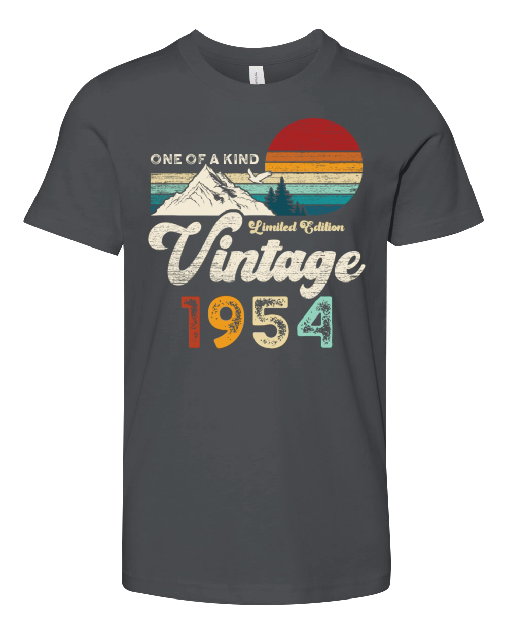 Vintage 1954 Birthday Mountains Youth Unisex Jersey Tee