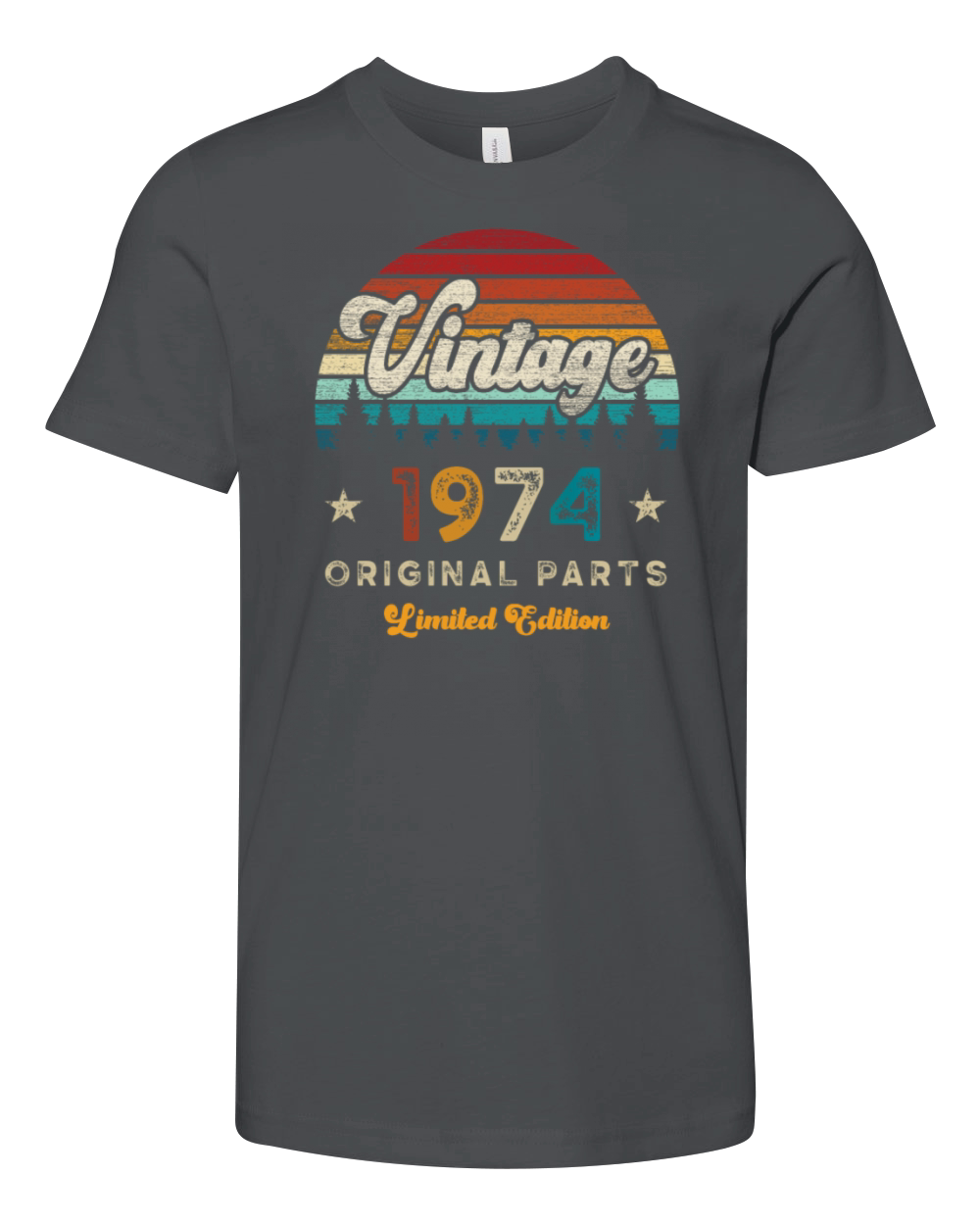 Vintage 1974 Birthday Retro Youth Unisex Jersey Tee