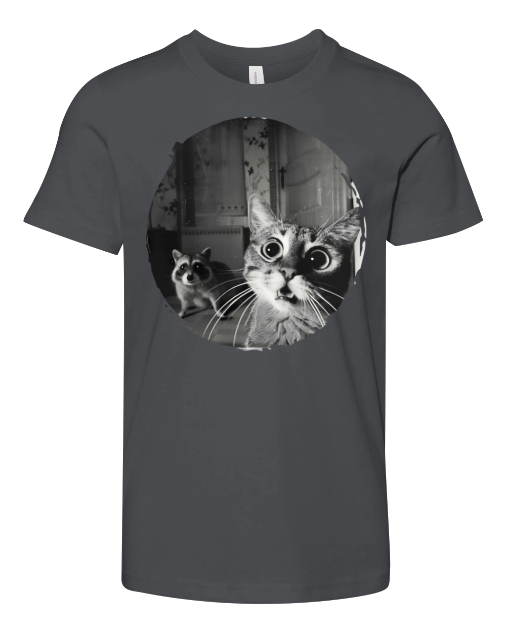 Vintage Surprised Cat and Raccoon Encounter Design Youth Unisex Jersey Tee
