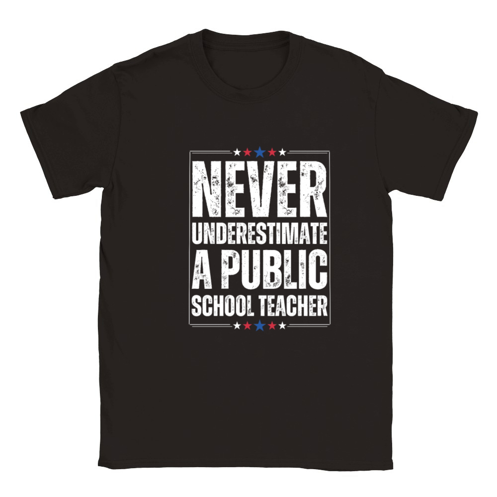 Never Underestimate a Public School Teacher Classic Kids Crewneck T-shirt