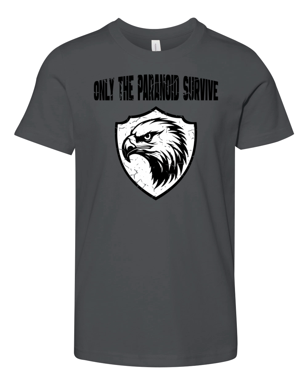 Only The Paranoid Survive Vintage Black Youth Unisex Jersey Tee