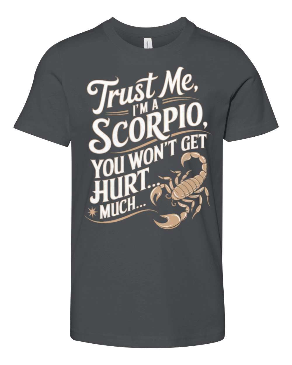 Scorpio Funny Quote Youth Unisex Jersey Tee