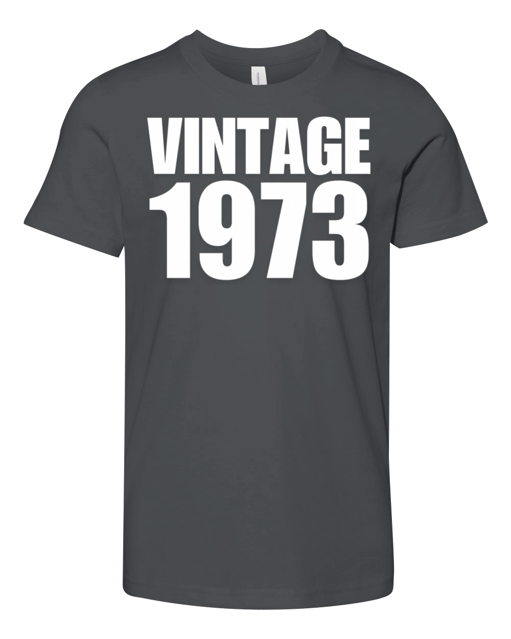 Vintage 1973 Youth Unisex Jersey Tee