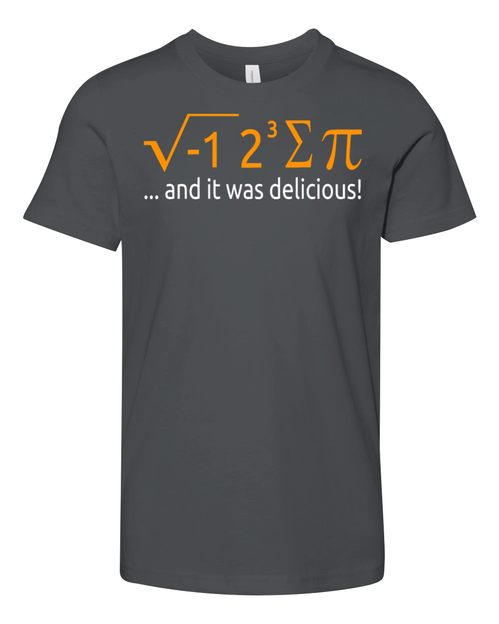 I Ate Some Pie And It Was Delicious 8 Pi Day 2BK7 Youth Unisex Jersey Tee
