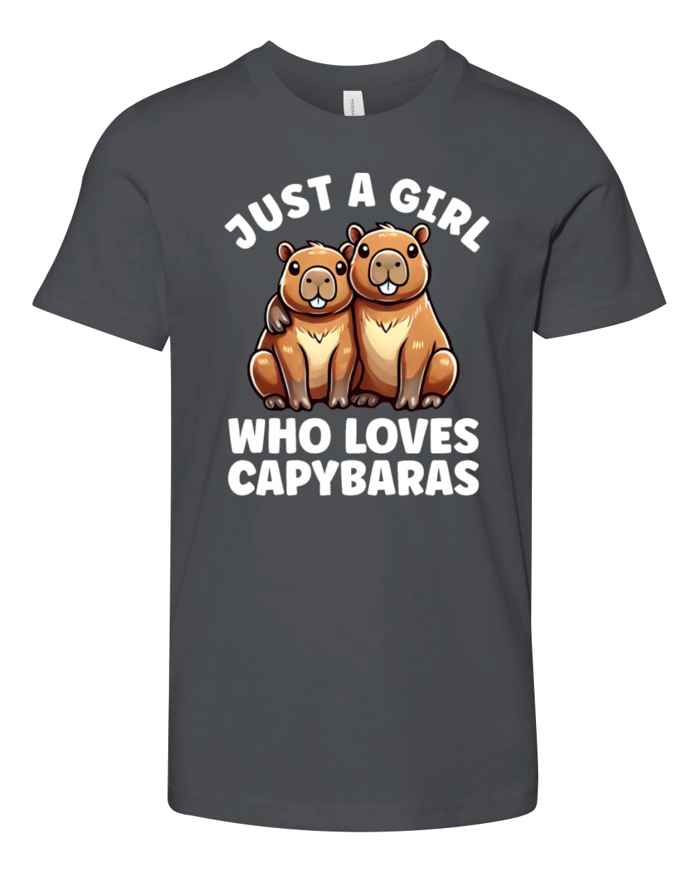 Just a Girl who Loves Capybaras Women Capybara Youth Unisex Jersey Tee