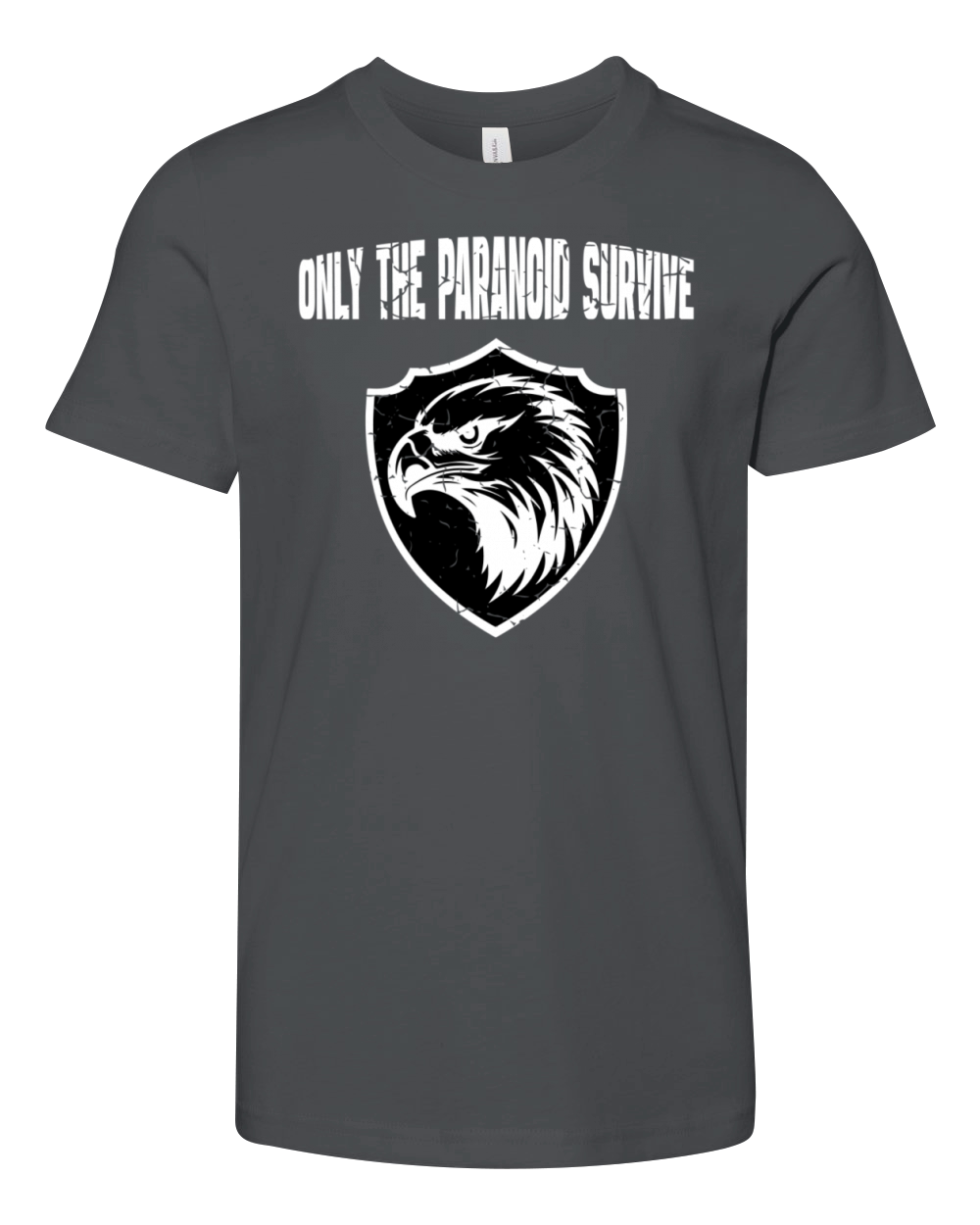 Only The Paranoid Survive Vintage White Youth Unisex Jersey Tee