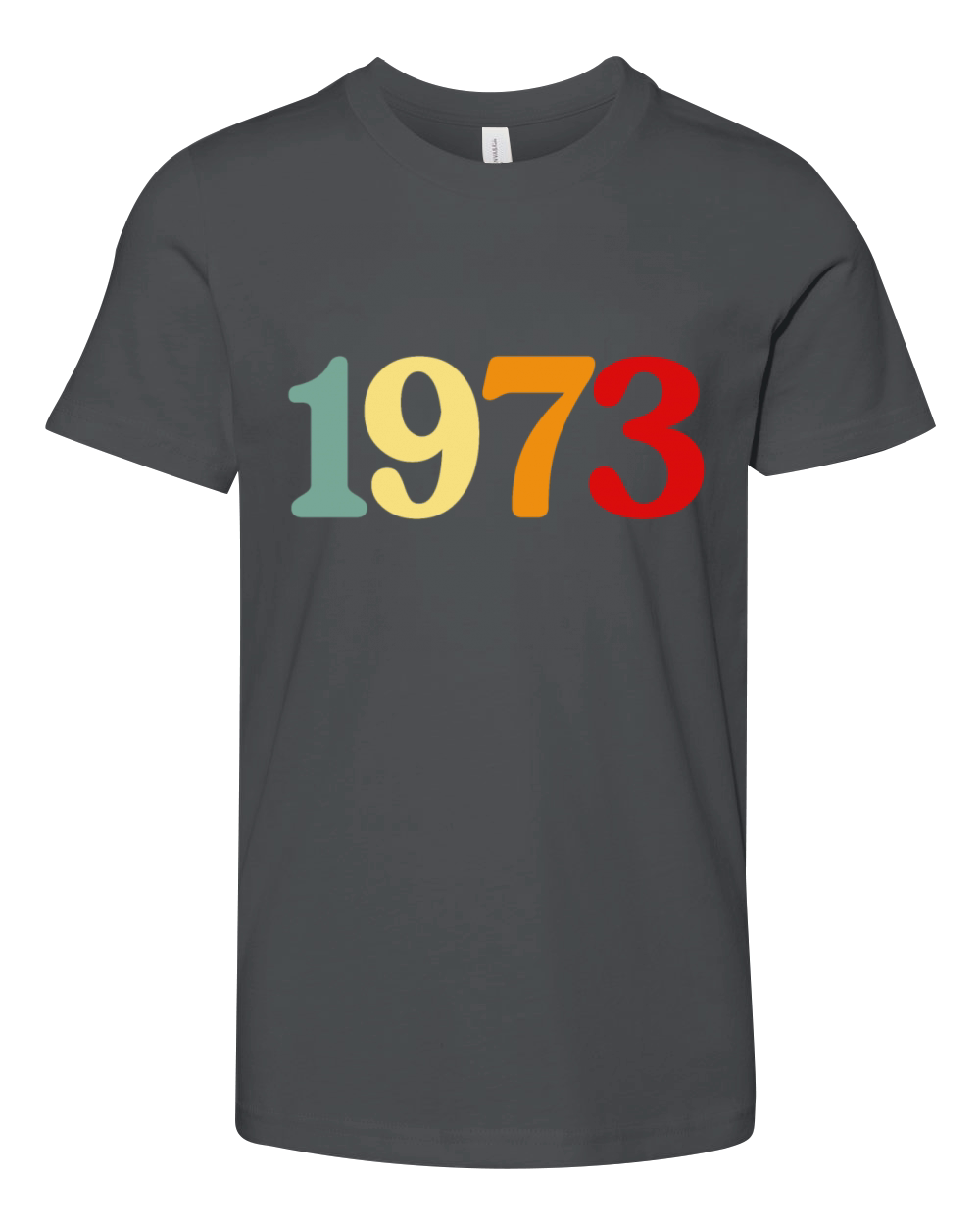 Retro 1973 Vintage Roe Pro Feminist Youth Unisex Jersey Tee