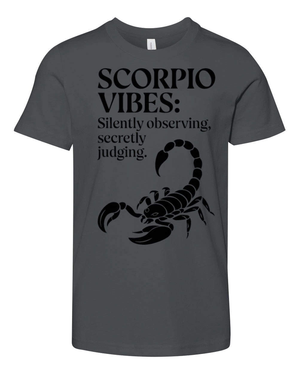 Funny Scorpio Zodiac Quote Youth Unisex Jersey Tee