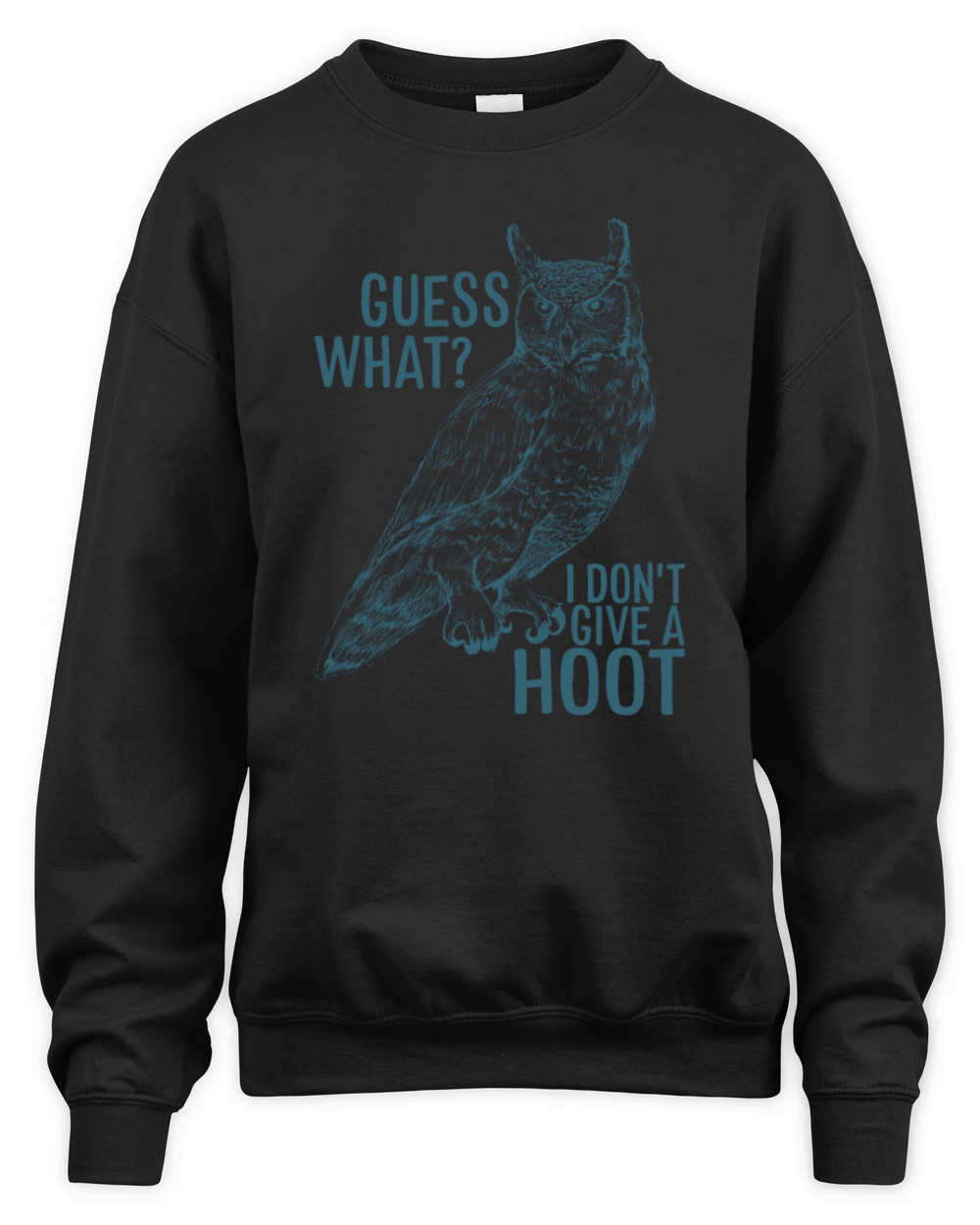 Guess What I Don t Give A Hoot Funny Vintage Owl Unisex Premium Crewneck Sweatshirt