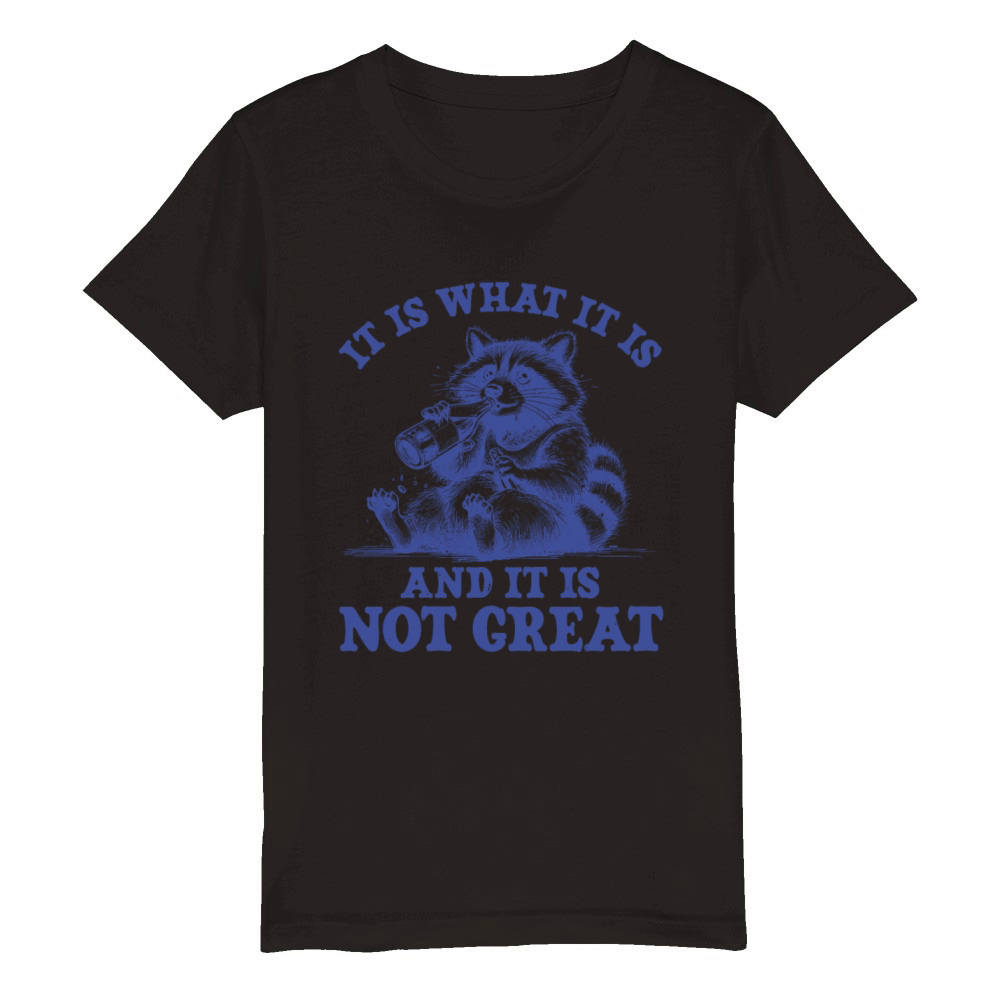 It is What It Is and It Is Not Great Organic Kids Crewneck T-shirt