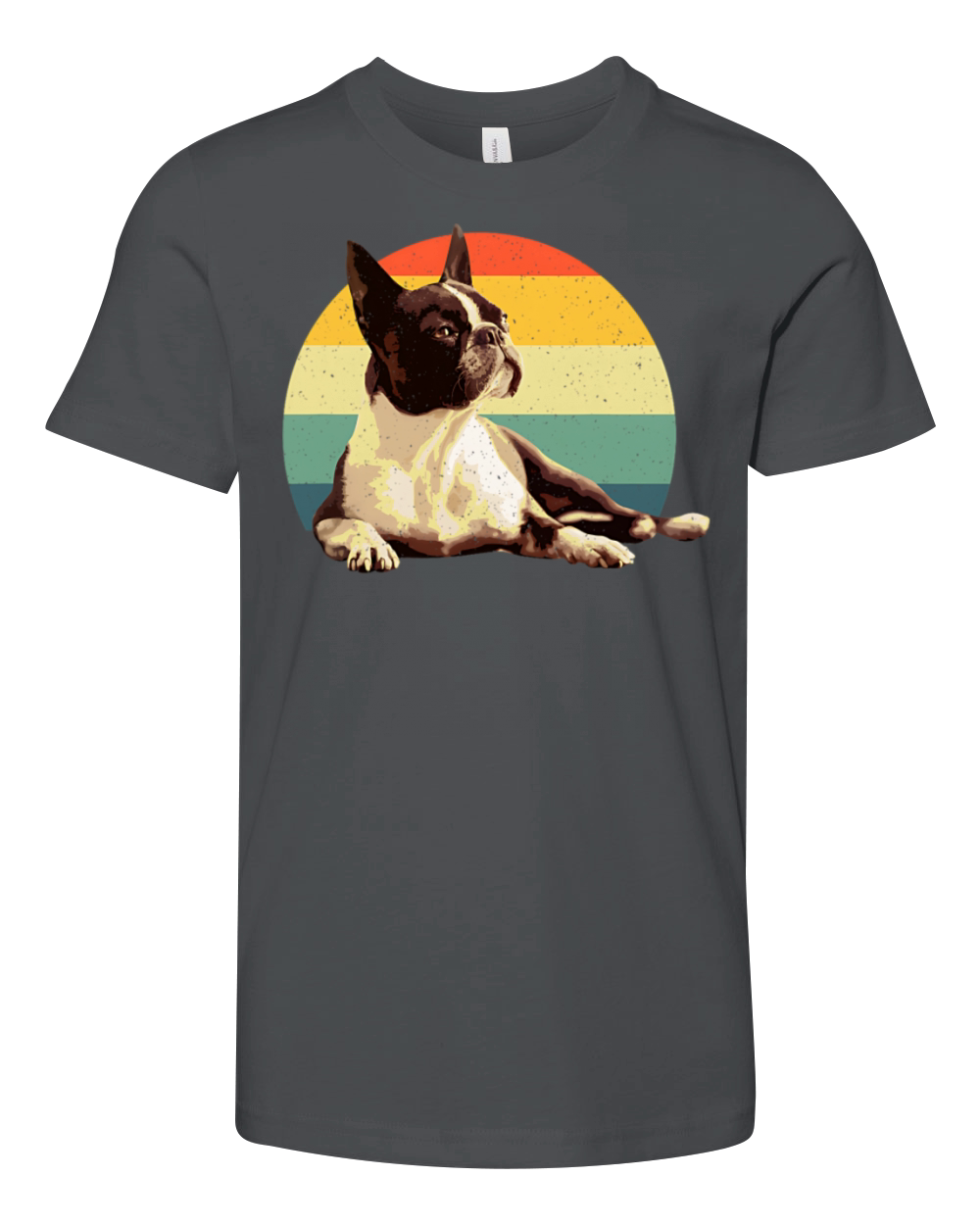 Cool Boston Terrier Youth Unisex Jersey Tee