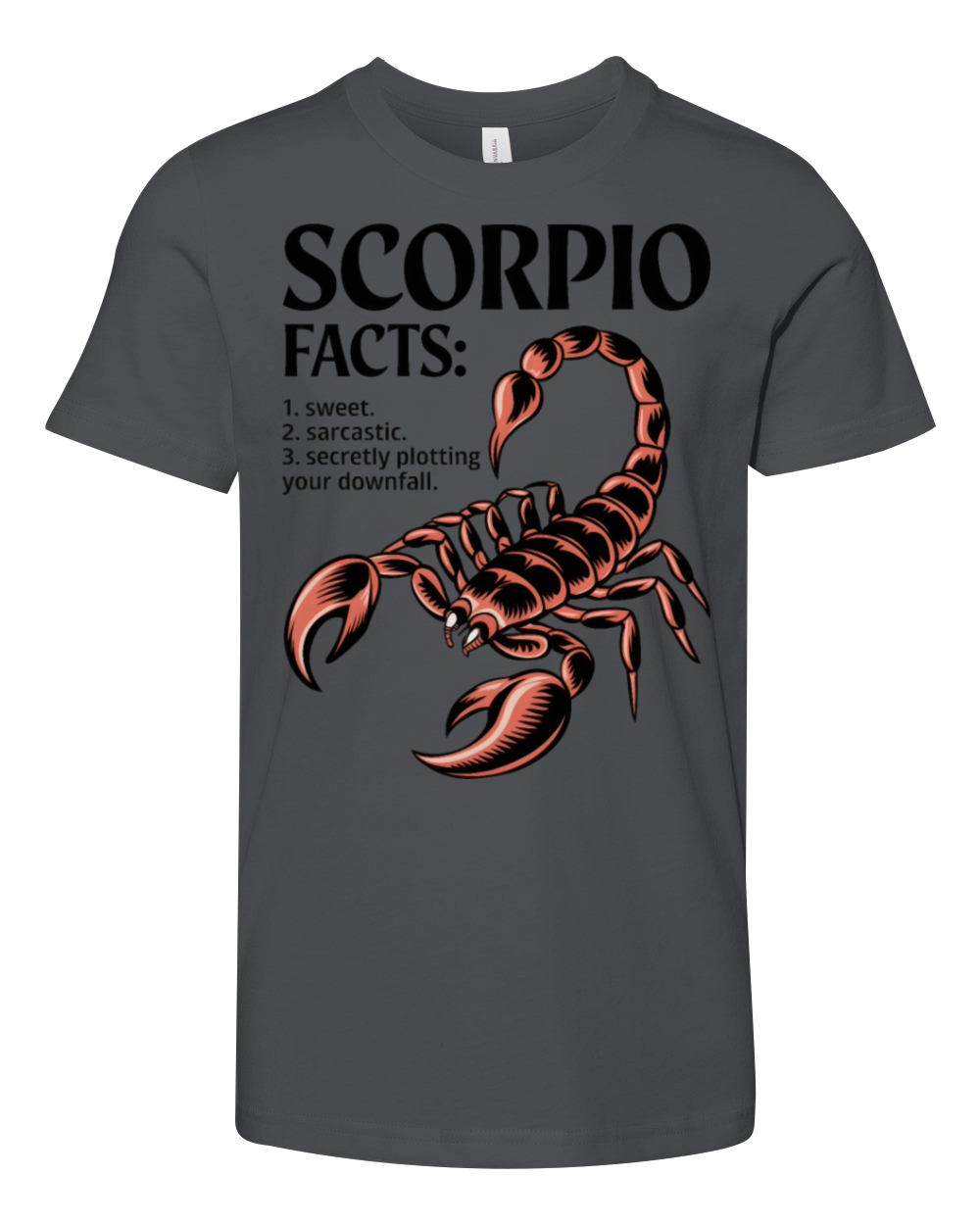 Funny Scorpio Zodiac Quote Youth Unisex Jersey Tee
