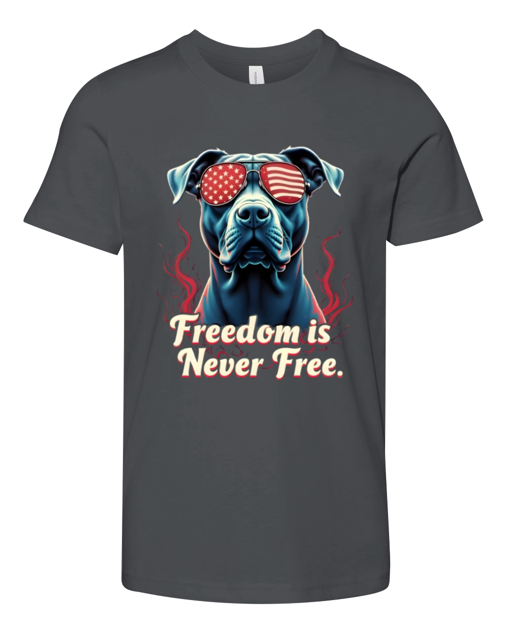 Freedom Is Never Free Youth Unisex Jersey Tee